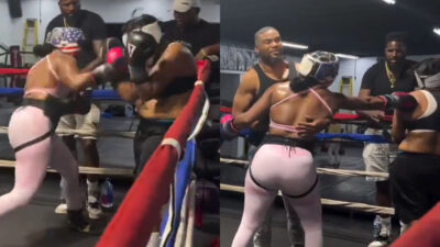 boxe humilie troll